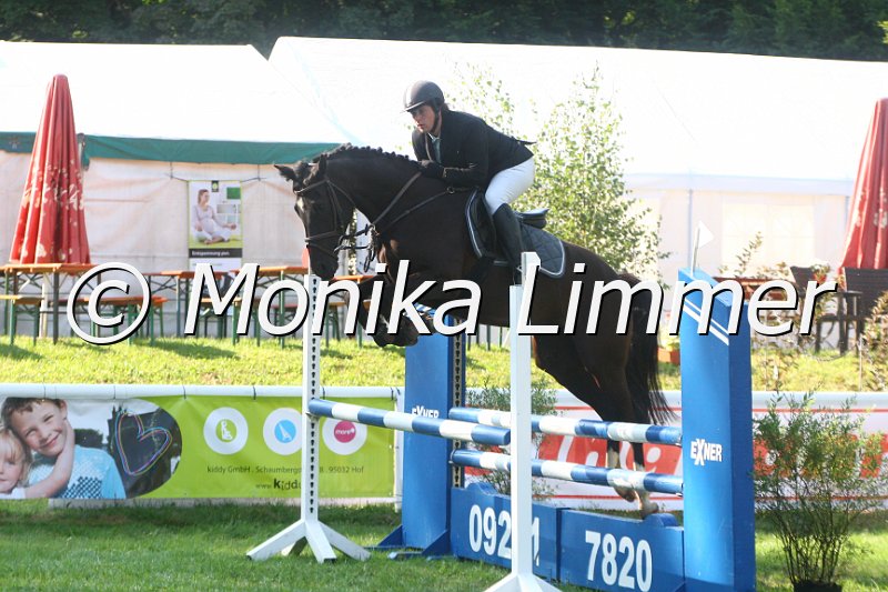 308M9310_Lotte_Springpferde A.JPG